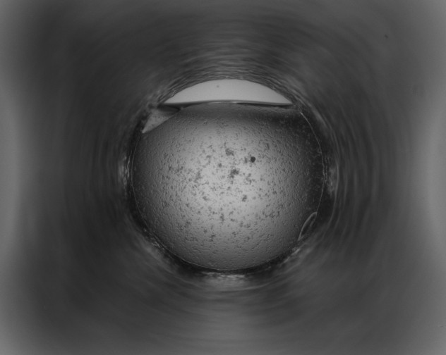 X0000087000476200705071509