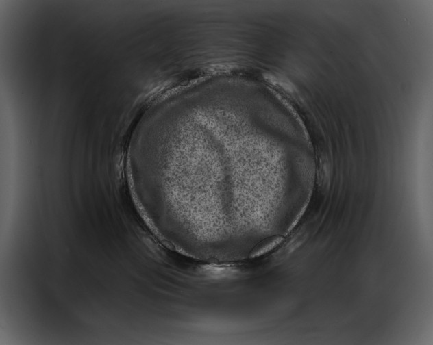 X0000087000477200705071509