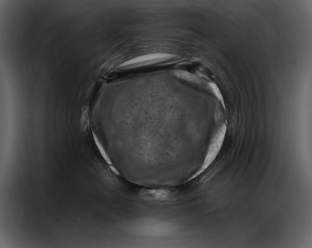 X0000087000478200705071509