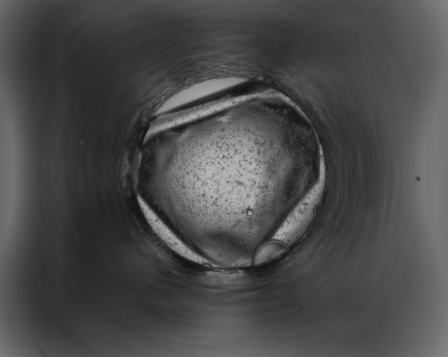 X0000087000480200705071509