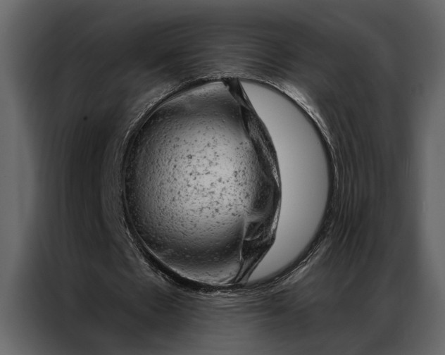 X0000087000481200705071509