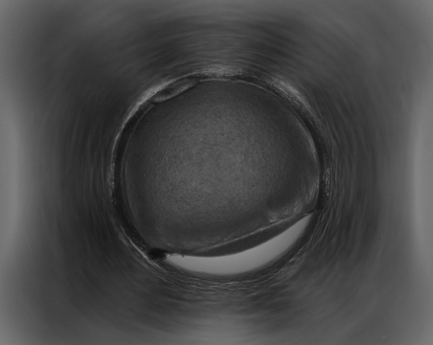 X0000087000484200705071509