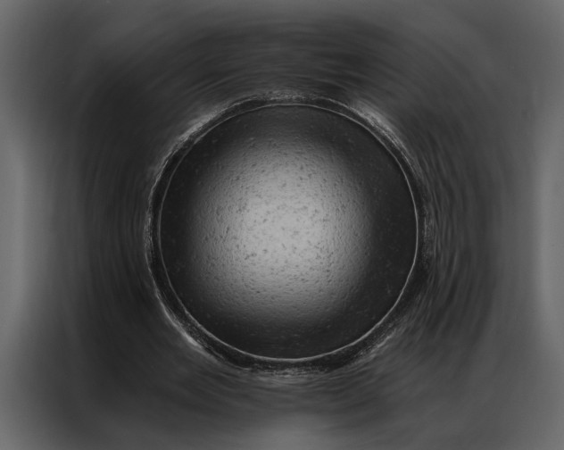 X0000087000485200705071509