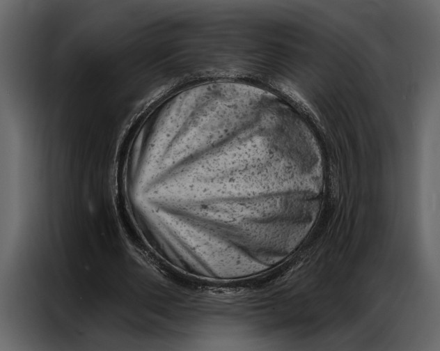 X0000087000486200705071509