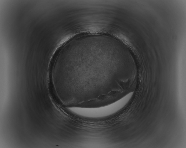 X0000087000488200705071509