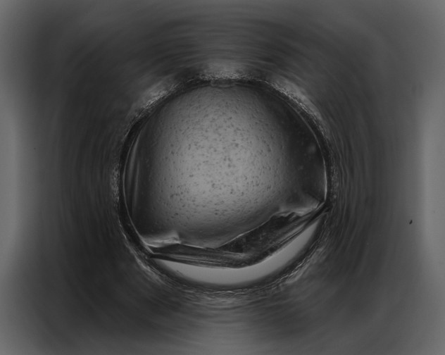 X0000087000489200705071509