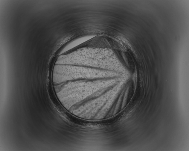 X0000087000490200705071509