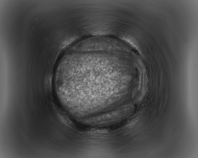 X0000087000491200705071509