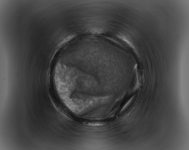 X0000087000492200705071509