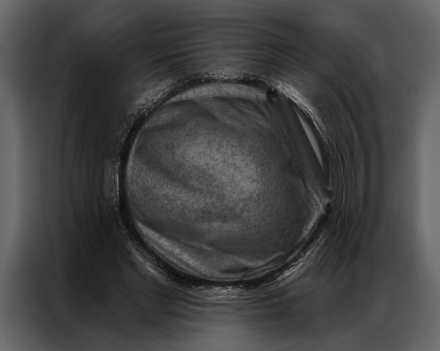 X0000087000493200705071509