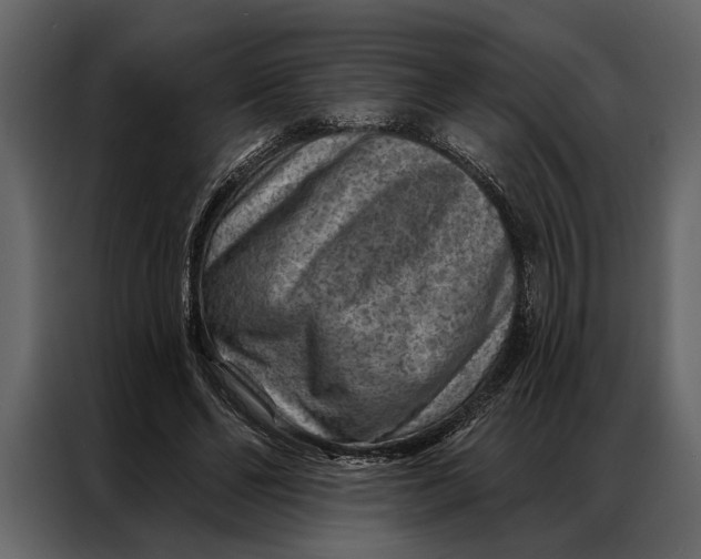 X0000087000494200705071509