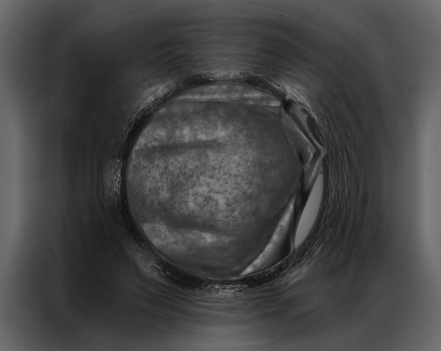 X0000087000495200705071509