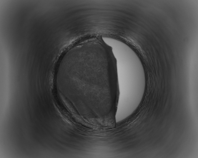 X0000087000496200705071509