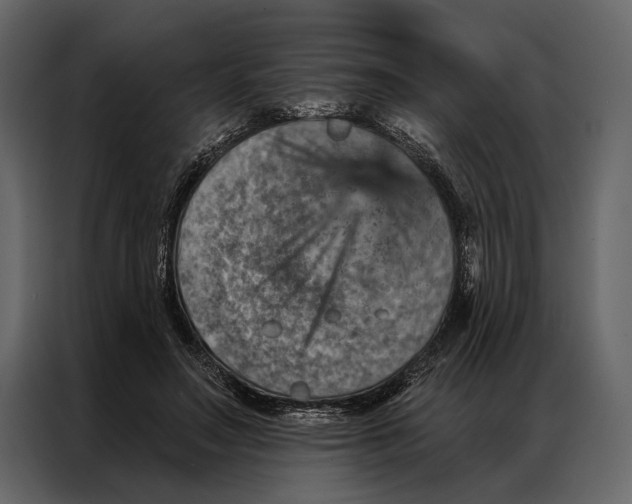 X0000087000499200705071509