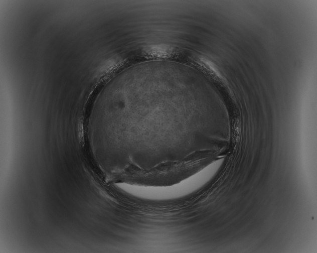 X0000087000500200705071509