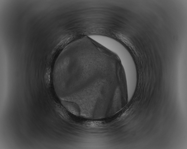 X0000087000501200705071509