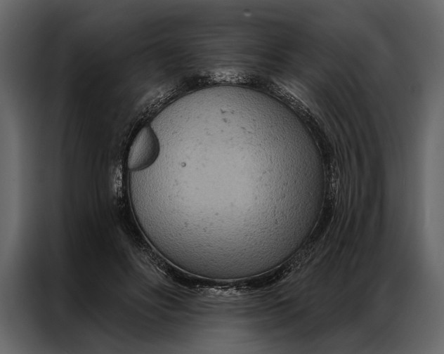 X0000087000502200705071509