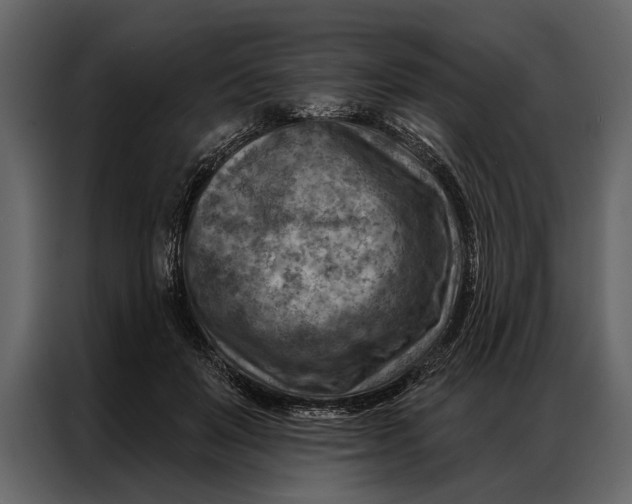 X0000087000503200705071509