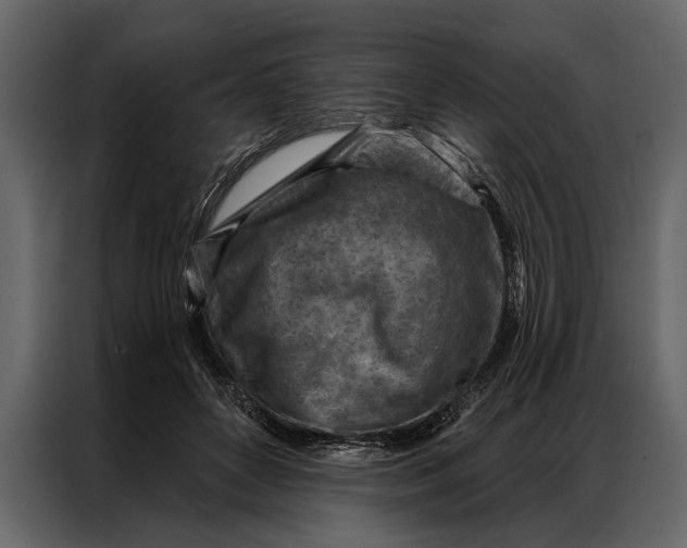 X0000087000504200705071509