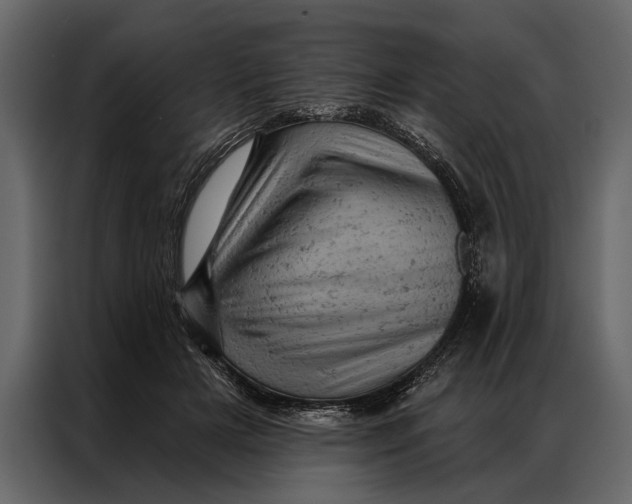 X0000087000505200705071509