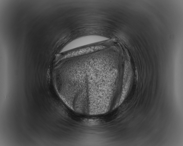 X0000087000506200705071509