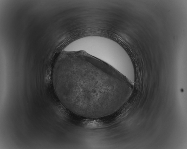 X0000087000507200705071509