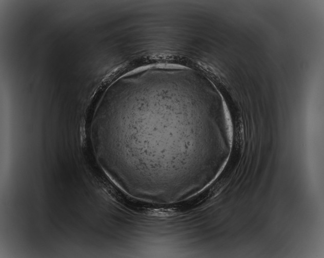 X0000087000508200705071509