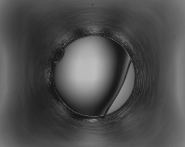 X0000087000509200705071509