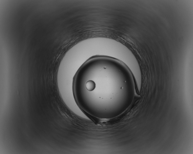 X0000087000512200705071508