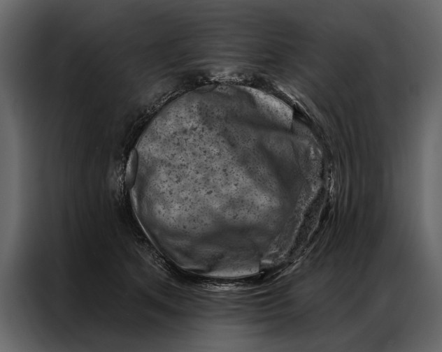 X0000087000513200705071508