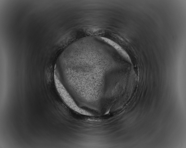 X0000087000515200705071508