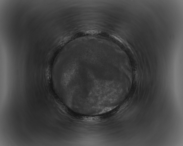 X0000087000517200705071508