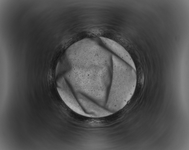 X0000087000518200705071508