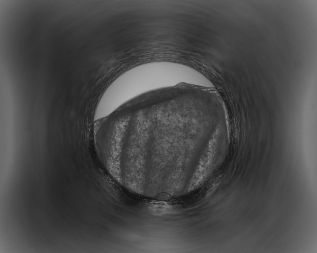 X0000087000519200705071508