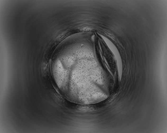 X0000087000521200705071508