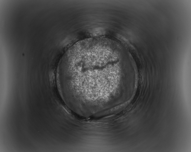 X0000087000523200705071508