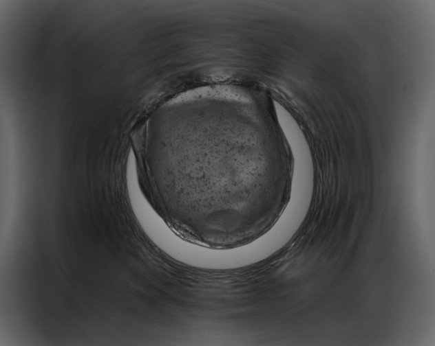 X0000087000524200705071508