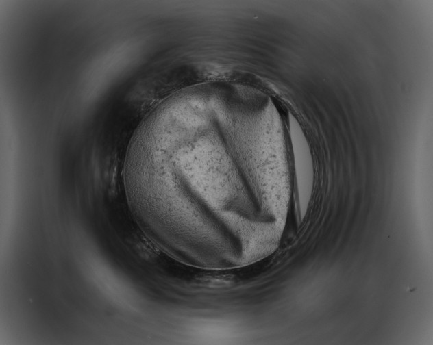 X0000087000525200705071508