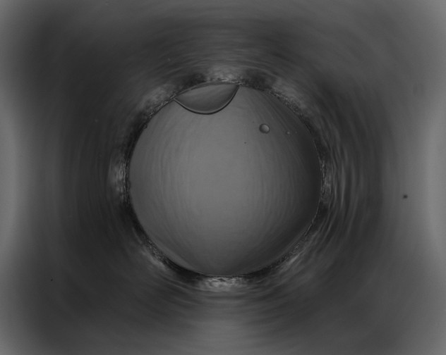 X0000087000526200705071508