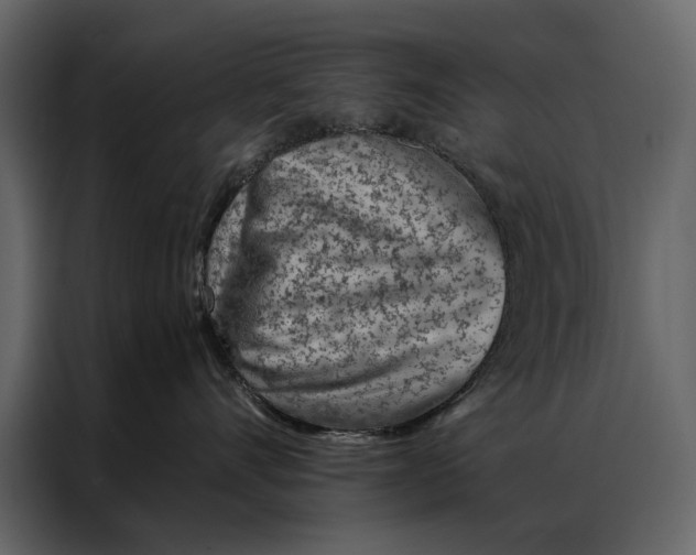 X0000087000528200705071508