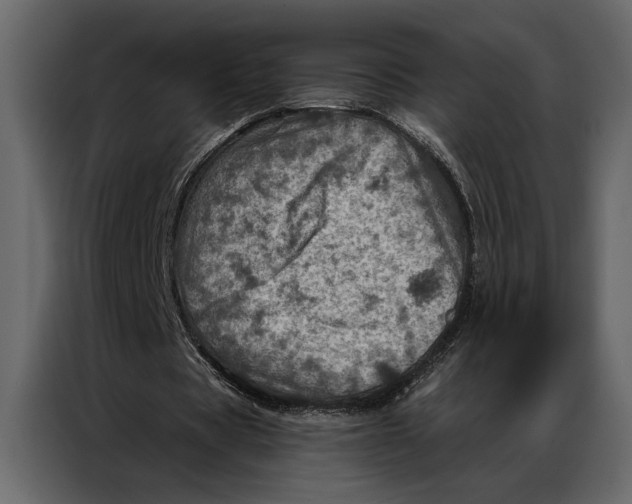 X0000087000529200705071508