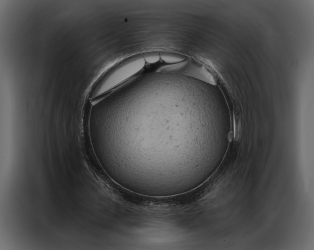 X0000087000531200705071508