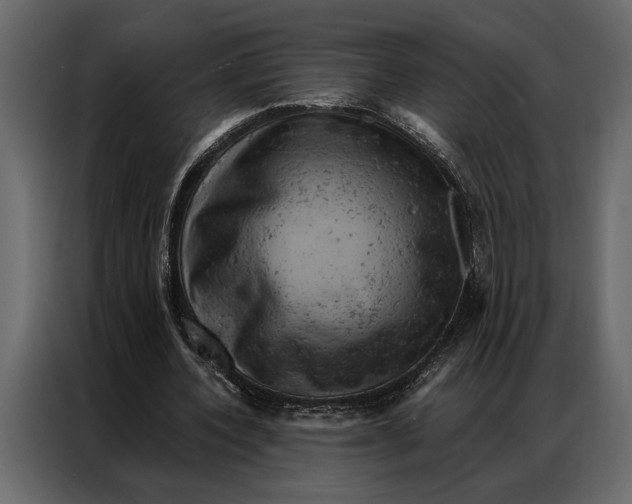 X0000087000532200705071508