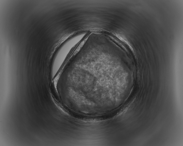 X0000087000533200705071508