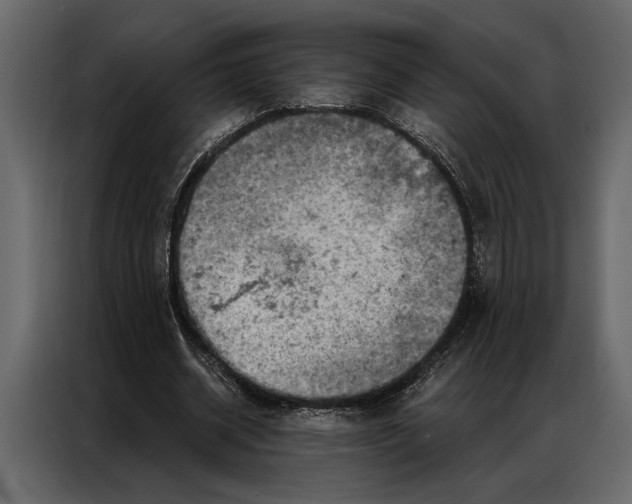 X0000087000534200705071508