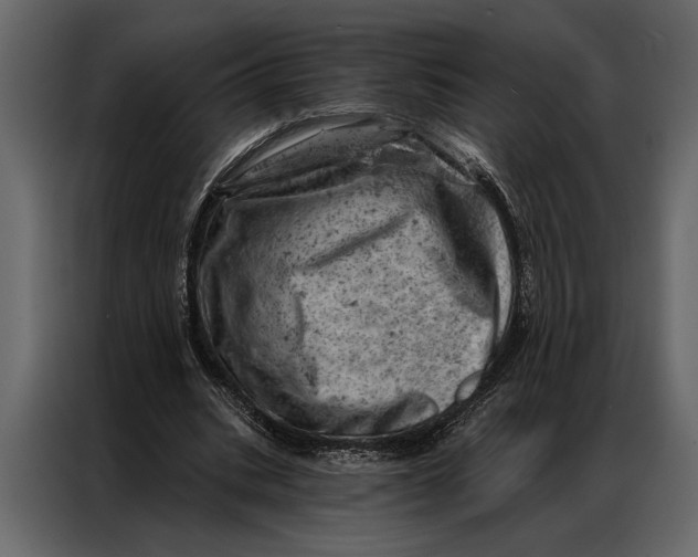 X0000087000535200705071508