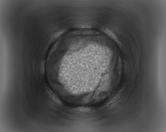 X0000087000537200705071508