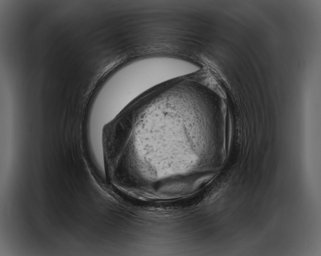 X0000087000538200705071508