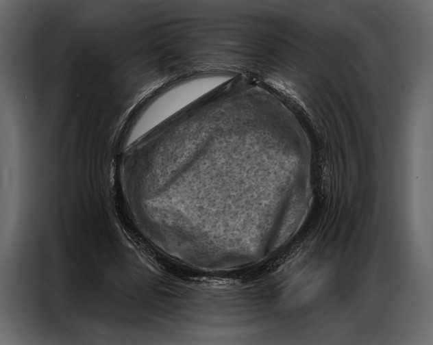 X0000087000539200705071508