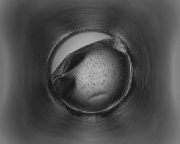 X0000087000540200705071508